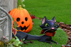 毎年お馴染みのハロウィン風景    