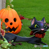 毎年お馴染みのハロウィン風景    