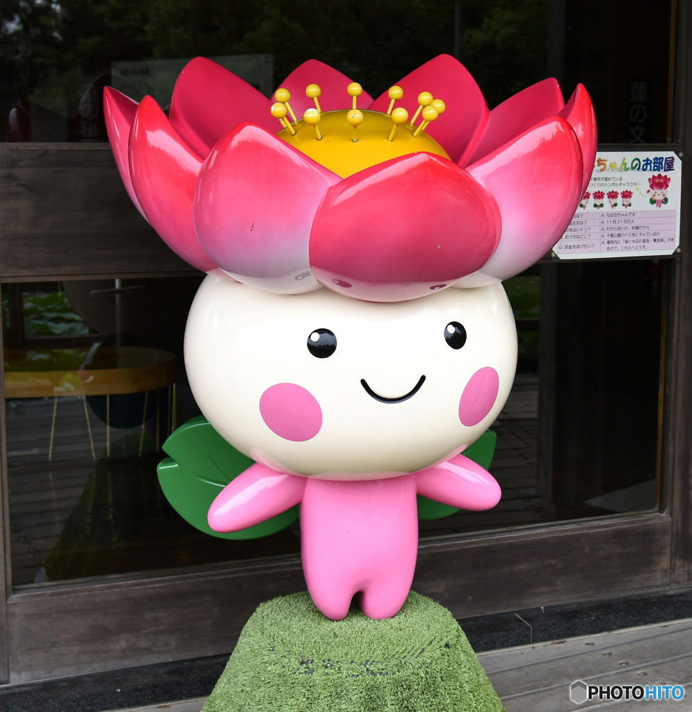 今年も居ました大賀ハスの妖精「ちはなちゃん」