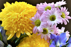 窓辺の花々  21-507