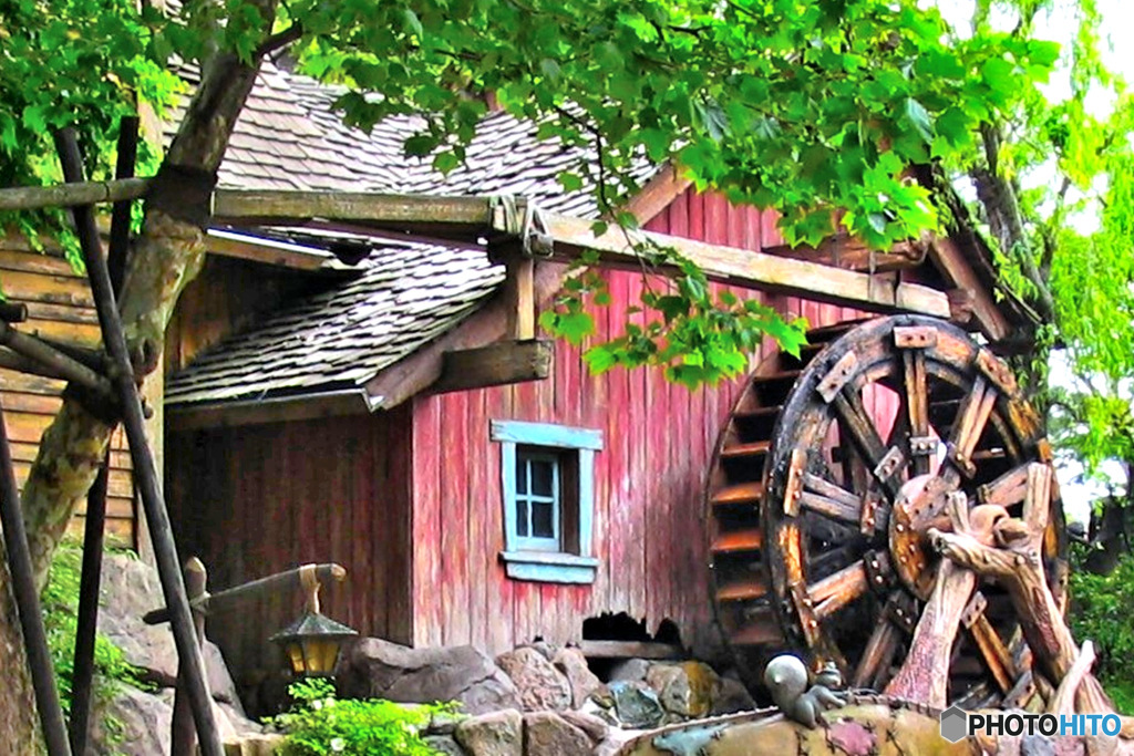  2006年5月　新緑と水車　   