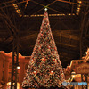 2015年12月クリスマス風景