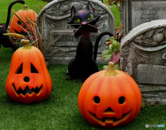 2018年10月 思い出の風景 ハロウィン カボチャと黒猫