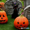 2018年10月 ハロウィン　 カボチャと黒猫