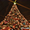 2015年12月クリスマス風景