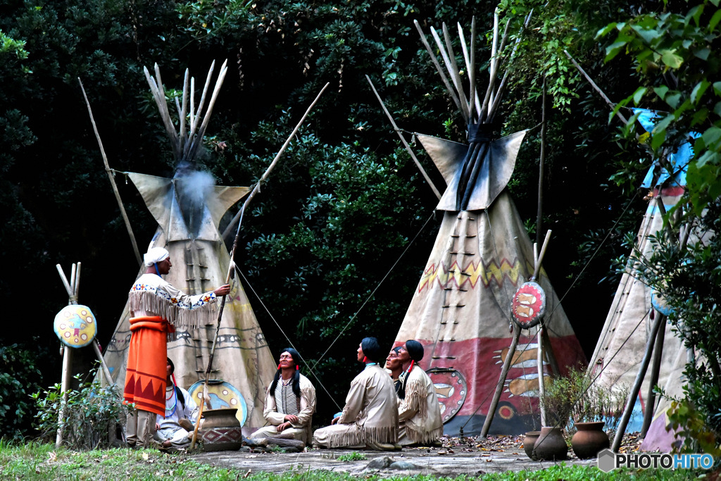 2016年11月のT D Lで