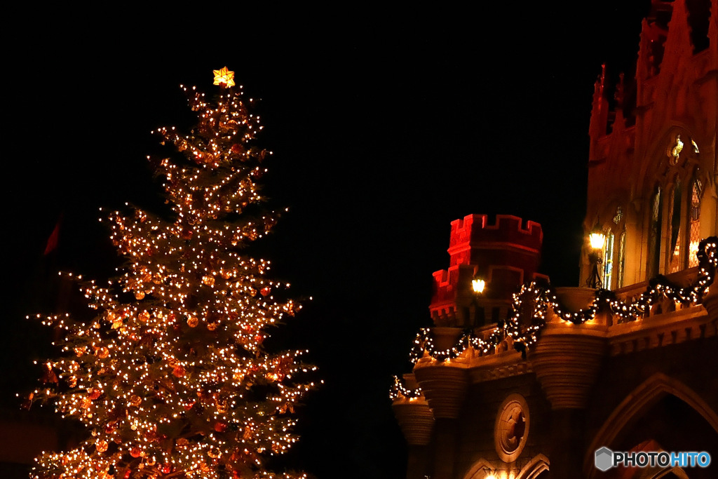  毎年お馴染みのクリスマス風景  