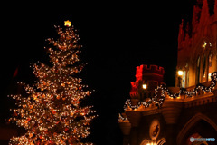  毎年お馴染みのクリスマス風景  