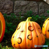 毎年お馴染みのハロウィンカボチャ風景