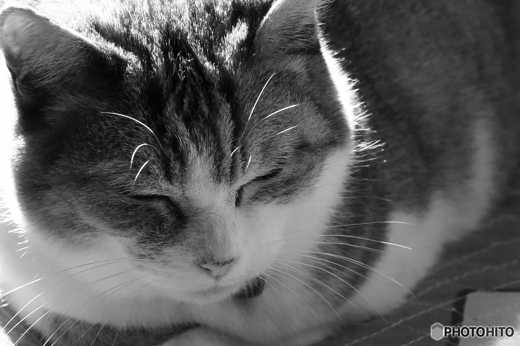 寝てる場合じゃないよ !  明日からお盆だよ  5