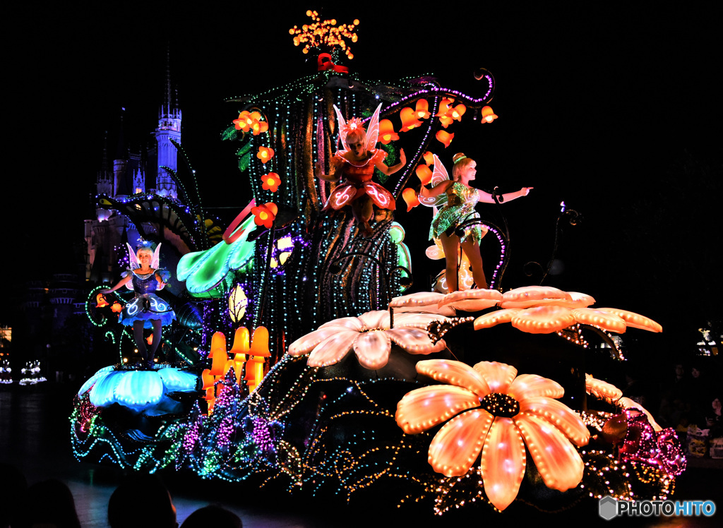 2015年冬のDisney Land風景  799