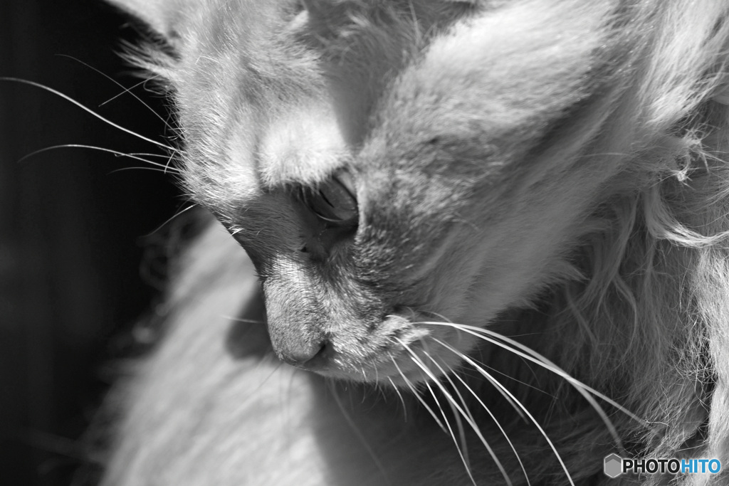 まめちゃんは2回目の ～お盆～  　3