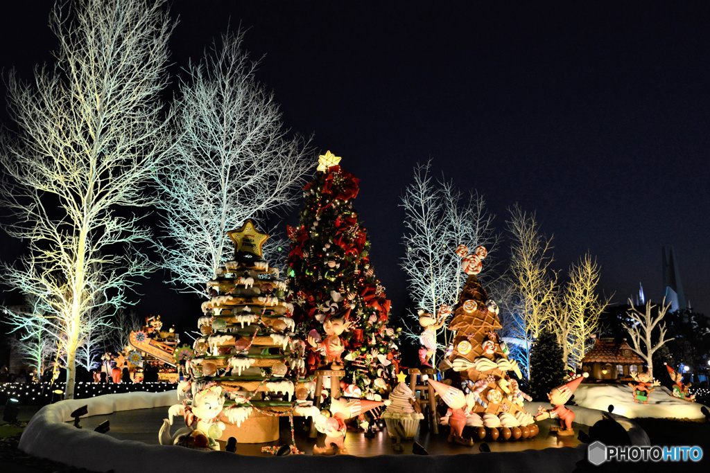 2013年夜のTDLでクリスマス飾り  555