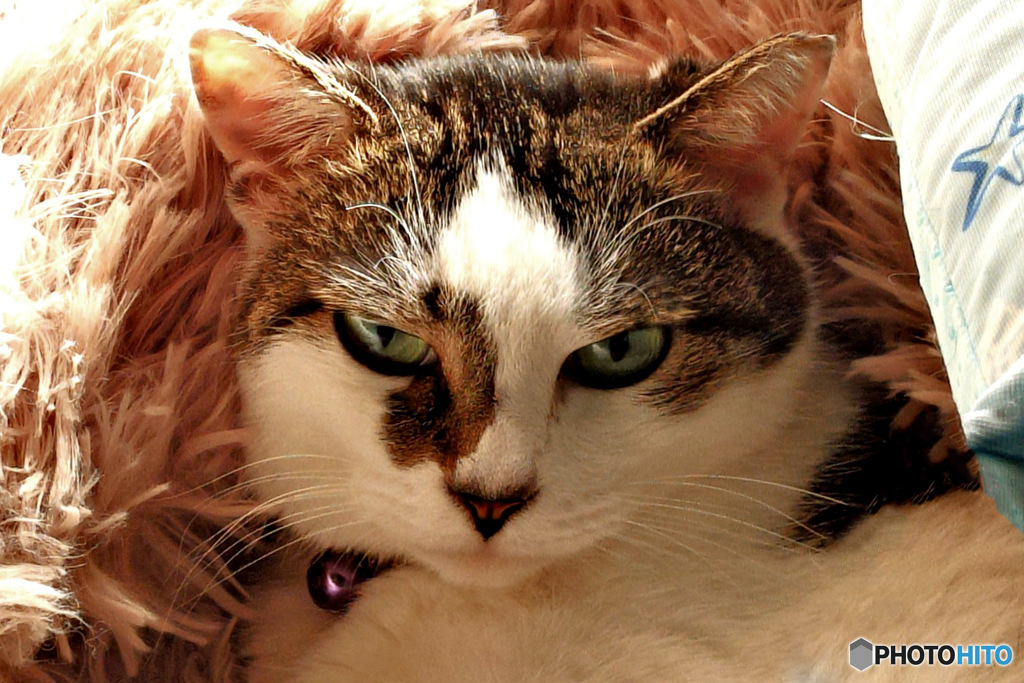  あっ  おこしちゃった？