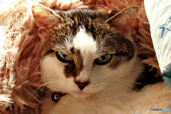  あっ  おこしちゃった？