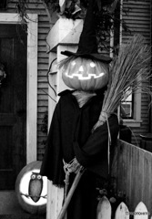 Trick or Treat Trick or Treat