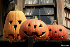毎年お馴染みのハロウィンカボチャ風景  