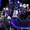 2015年のTDL風景  825