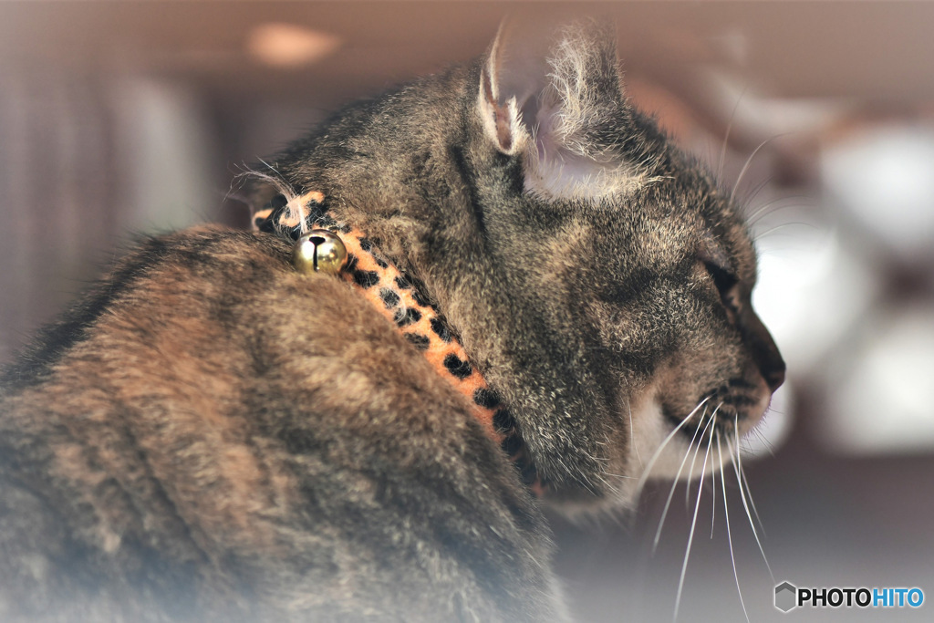 物思いにふける