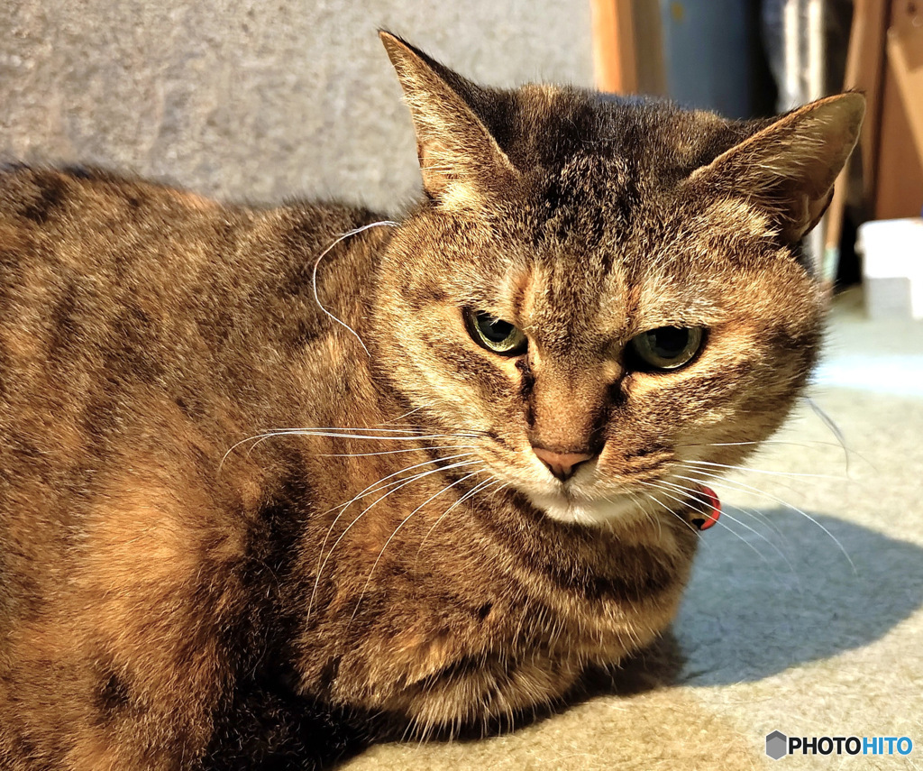 振り向いた一瞬パシャリ  