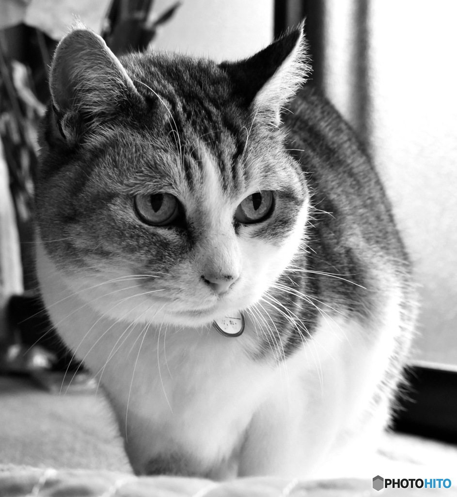 2025年今年一年間ありがとうございました