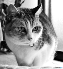 2025年今年一年間ありがとうございました