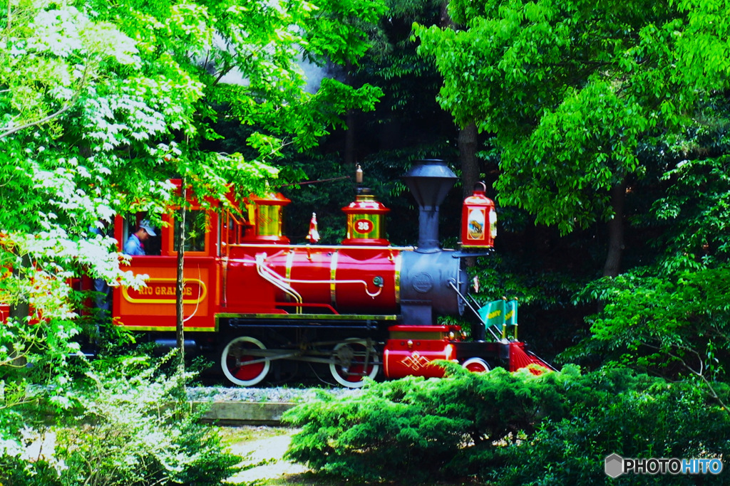 2006年5月TDL風景