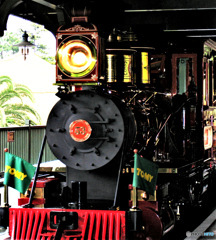 TDL 思い出の一枚 2006年