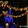 2010年のクリスマスTDL  571