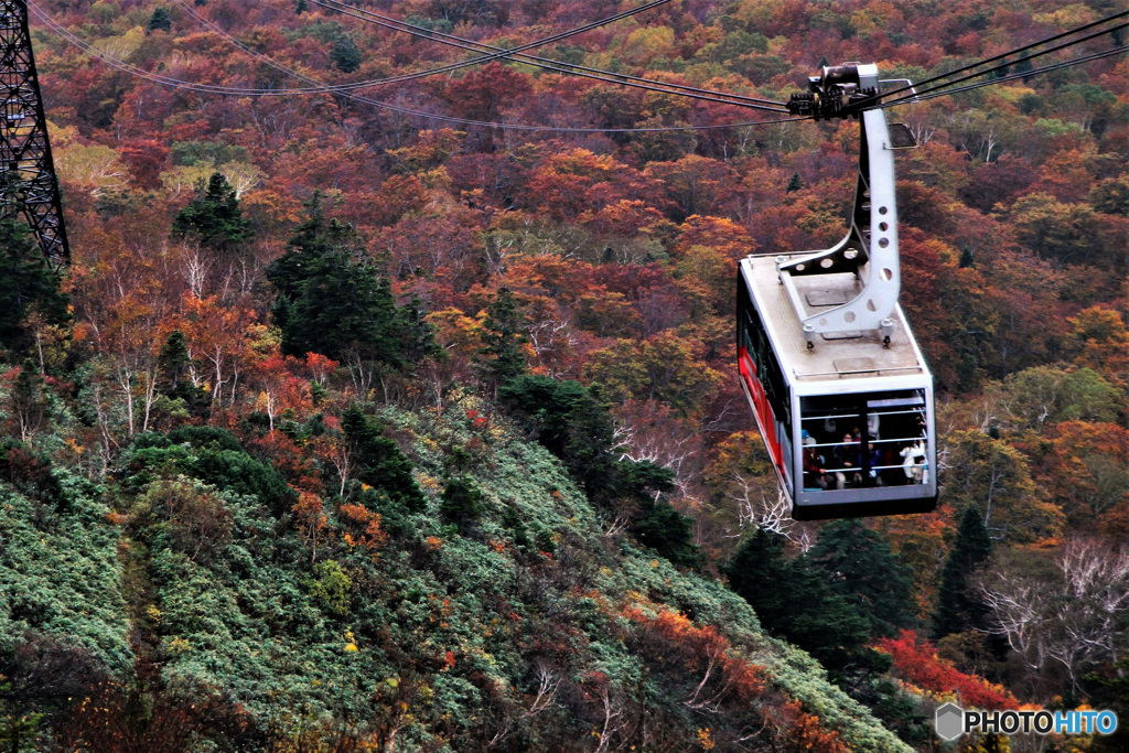 思い出の1コマ 八甲田山ロープウェイからの紅葉