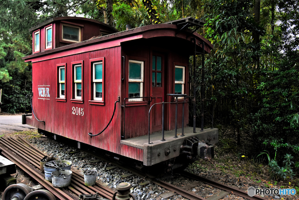 2016年のTDL風景  824