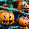 2004年10月の風景  ハロウィン