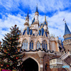 冬のTDL クリスマスの装い風景   1046