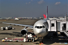 思い出の風景 ④  空港 