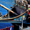 2014年Disney Sea 風景 帆船前方