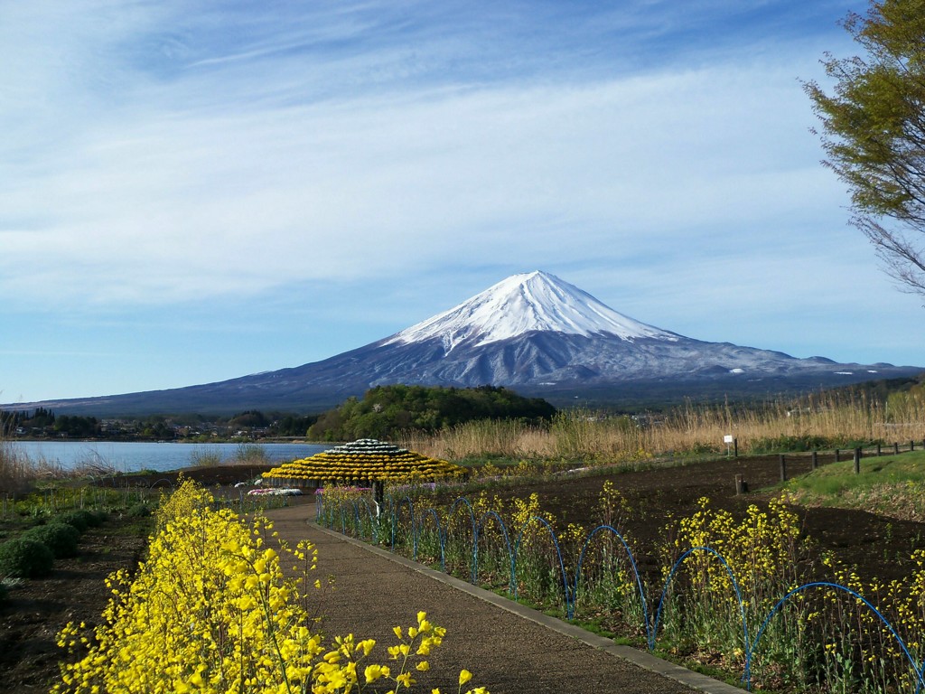 今朝の富士山