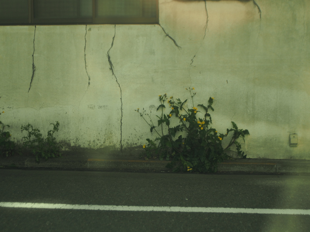 wall