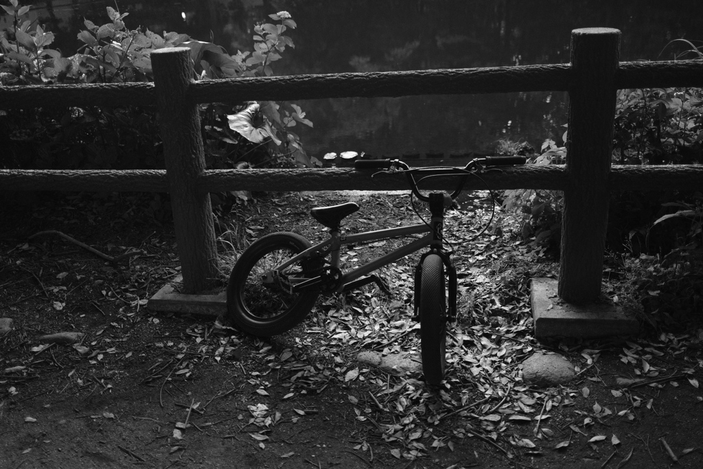 水辺の自転車