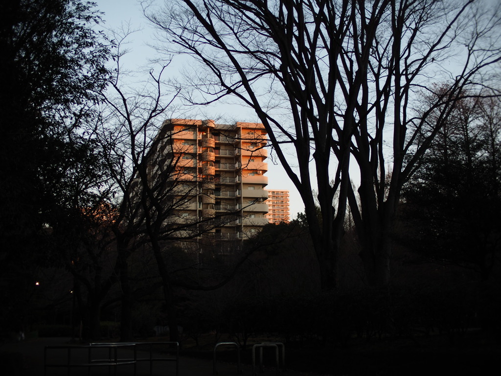 朝陽