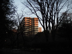 朝陽