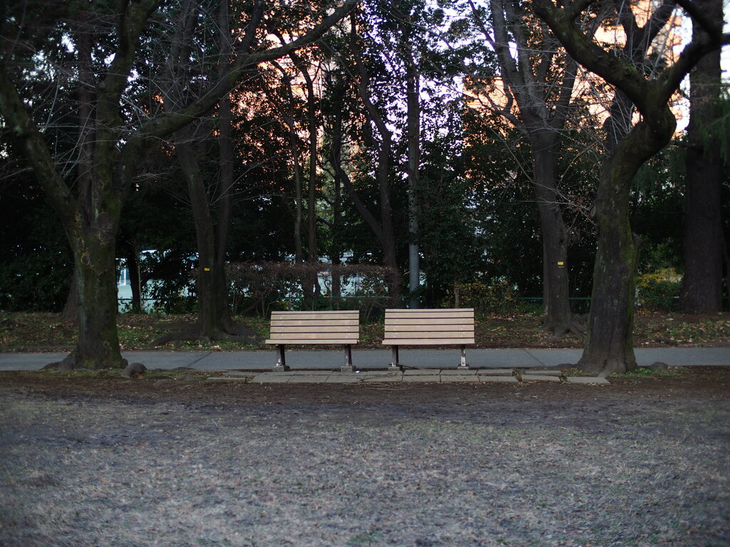 ベンチ