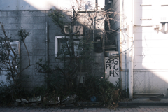 WALL