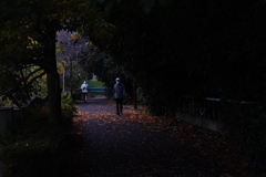 秋の歩道