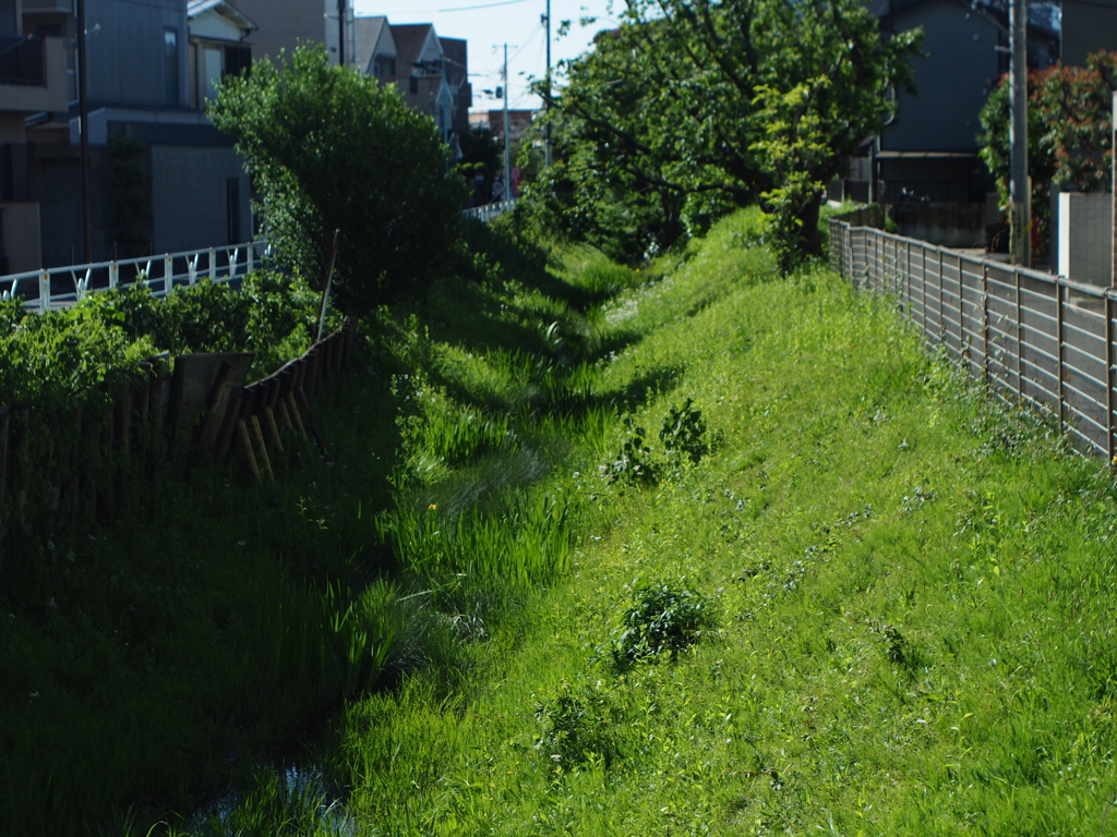 上水跡