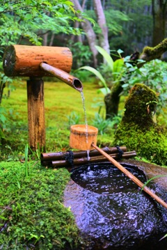 木の水盤舎