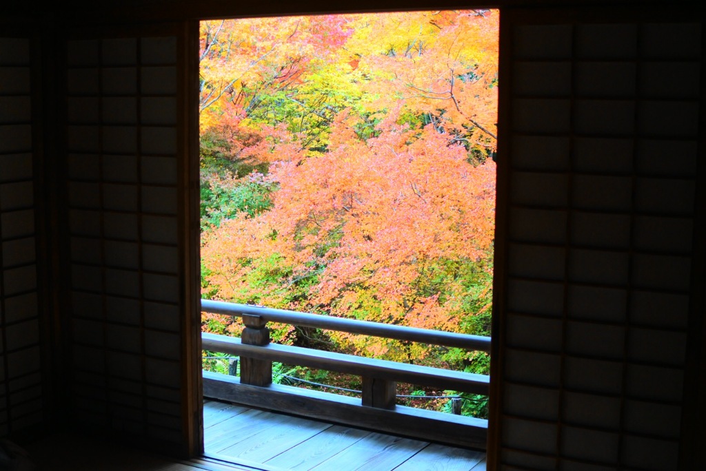 内からの景色