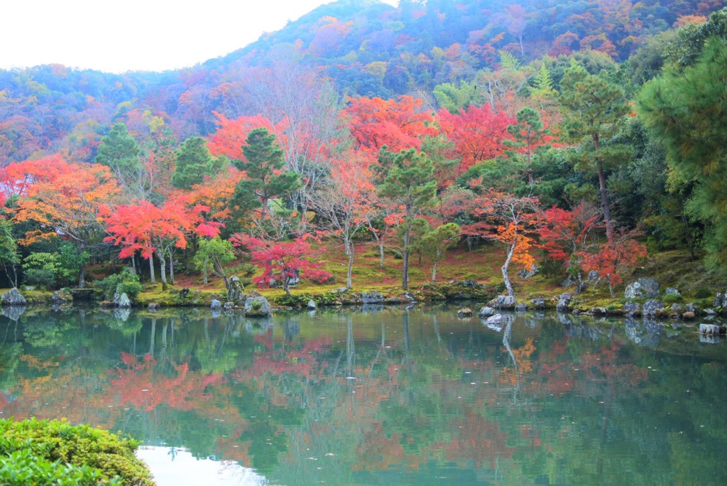 天龍寺の庭から