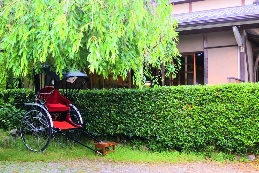 木陰で休憩