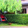 木陰で休憩