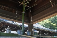 竹の水盤舎
